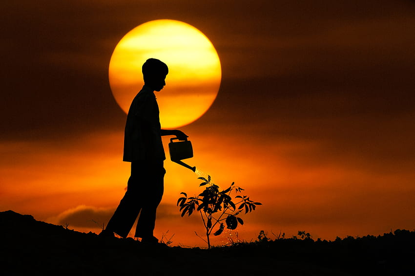 Heal the World, watering, plant, boy, flower, beautiful, silhouette, sunset, pot HD wallpaper