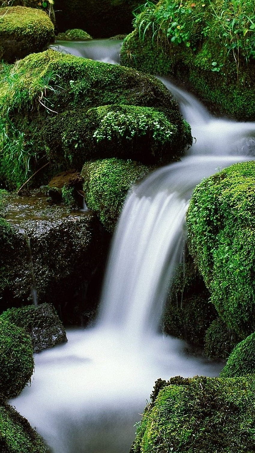 Waterfall Green Forest iPhone 6 - Waterfall Gif HD phone wallpaper ...