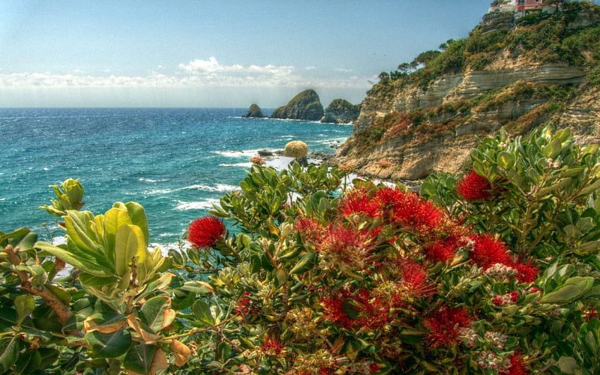 a view from Ponza coast, ponza, coast HD wallpaper