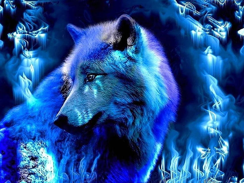 Blue Wolf Wolf .pro, Neon Blue Wolf HD wallpaper | Pxfuel