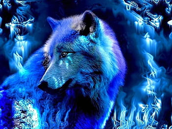 Fire and ice wolves fantasy HD wallpapers | Pxfuel
