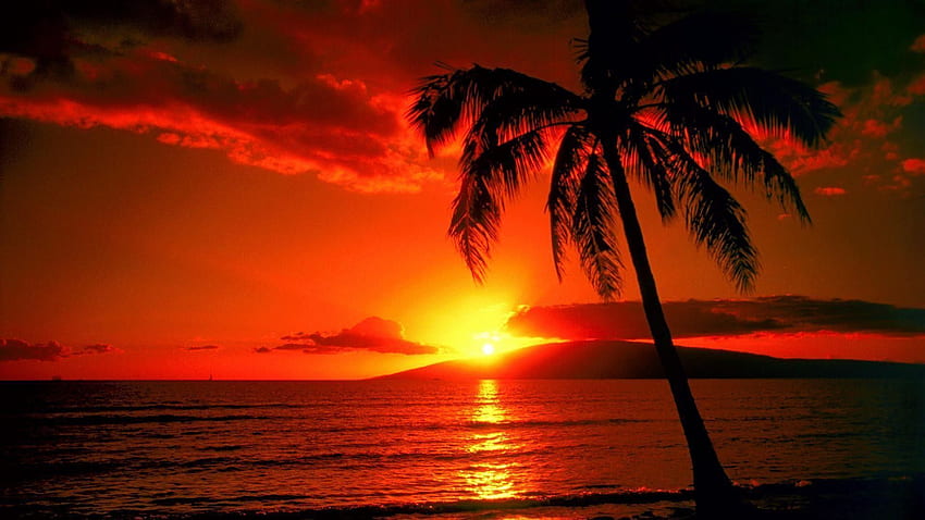 Hawaii Sunset, Waikiki Sunset HD wallpaper
