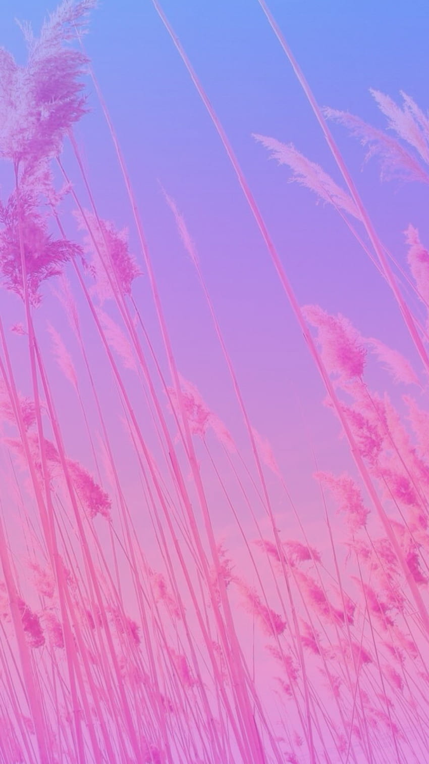Original not by me! I just made the ombrÃ©/gradient. Pink,. Iphone BackgroundsPhone Pastel ... HD phone wallpaper