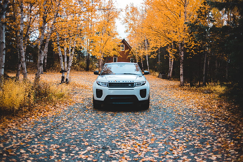 Jesień, Range Rover, Land Rover, Samochody, Suv, Widok Z Przodu Tapeta HD