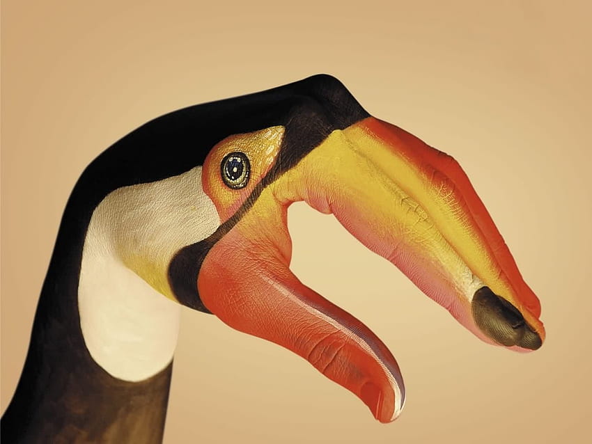 body paint toucan, other, body paint, toucan, abstract HD wallpaper