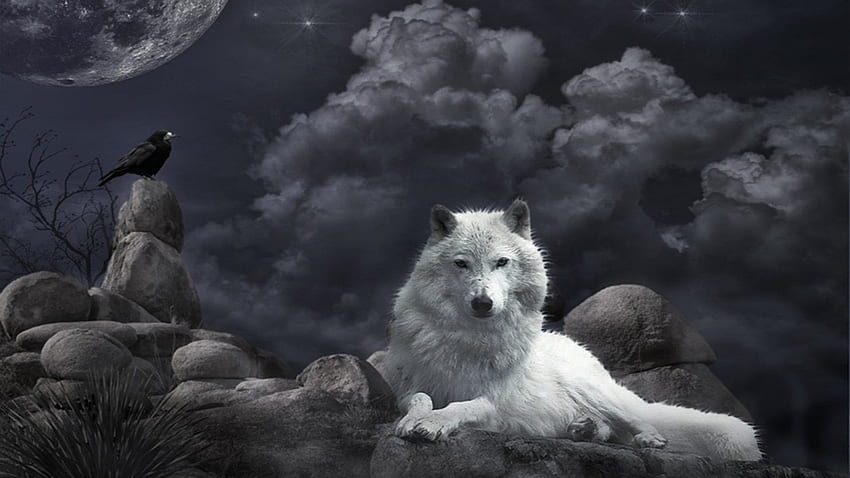 Wolves, Canis Lupus HD wallpaper