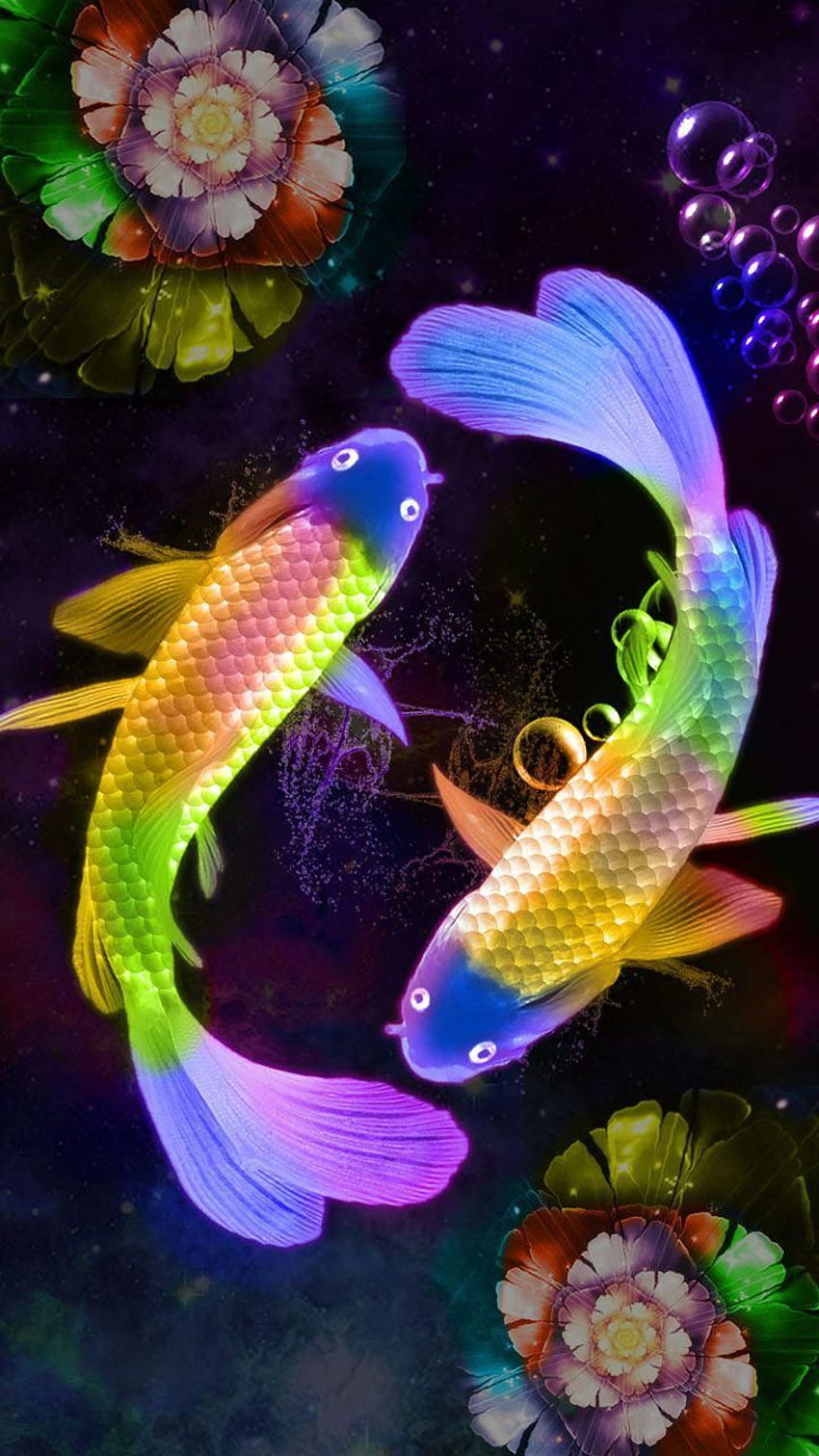 Lucky fish. HD phone wallpaper
