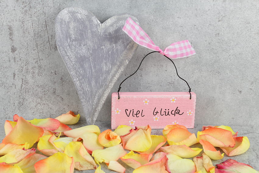 Güzel dekorasyon, aşk, özel gün, romantik gün, çiçekler, kalp HD duvar kağıdı