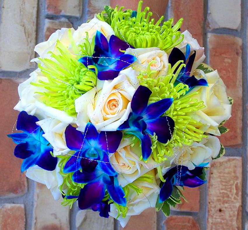 Orchids and mums, blue, roses, peach, green, flowers, arrangement, mums, orchids HD wallpaper