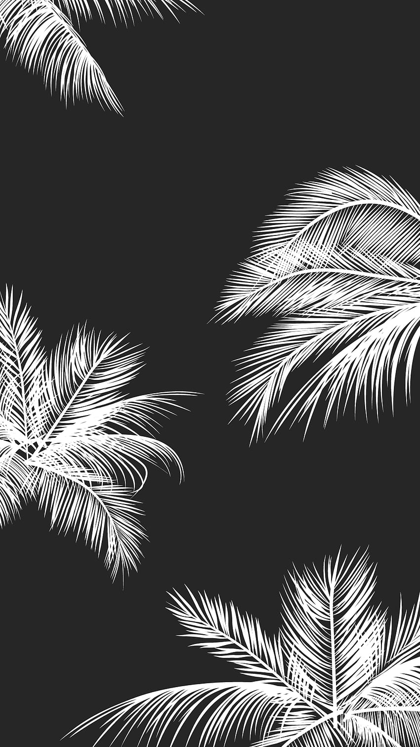 Черни бели палмови листа палмови дървета iphone фон за заключен екран на телефона. hitam dan putih, putih, estetika HD тапет за телефон