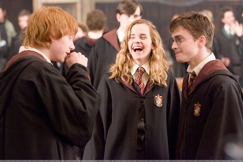 The golden trio - Harry, Ron and Hermione HD wallpaper