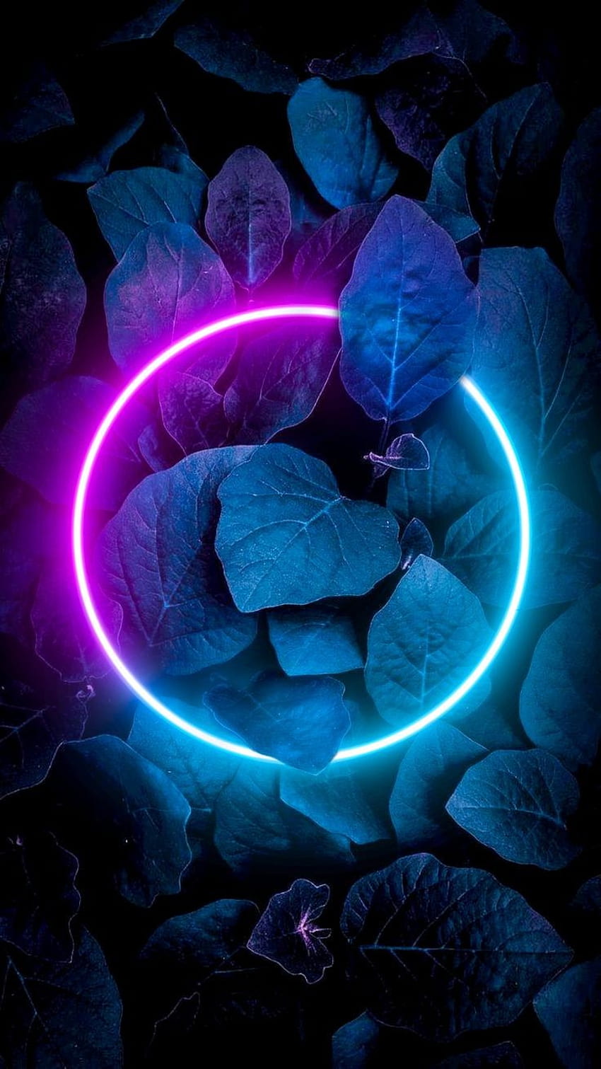 Neon, azul elétrico, arte Papel de parede de celular HD