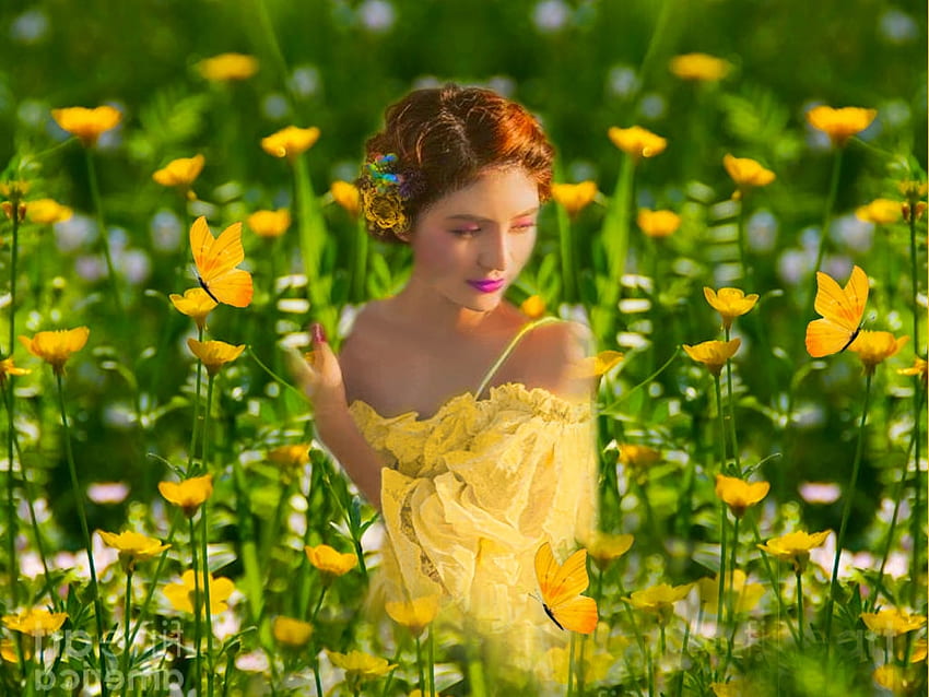 Yellow Wildflowers, colorful, brold, vibrant, meadow, girl, dress, butterflies, vivid, green, yellow, bright, flowers, lovely HD wallpaper