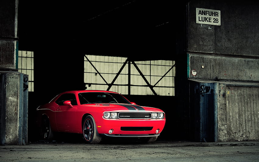 Dodge Challenger, Transport, Auto HD wallpaper