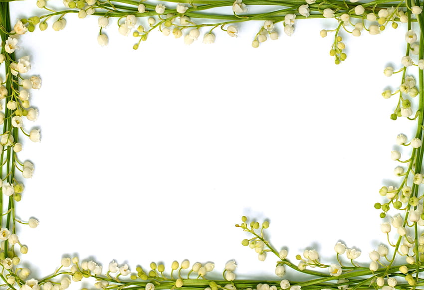 and boarders. Texture Background - Funeral Prayer, Funeral Flowers HD wallpaper