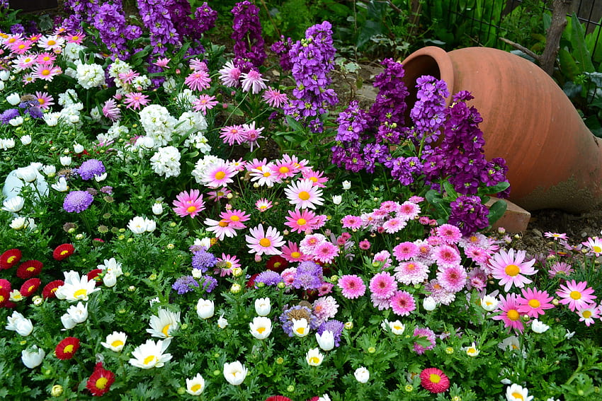 Kwiaty, zielenie, kwietnik, kwietnik, wazon, ogród, dużo, różne Tapeta HD