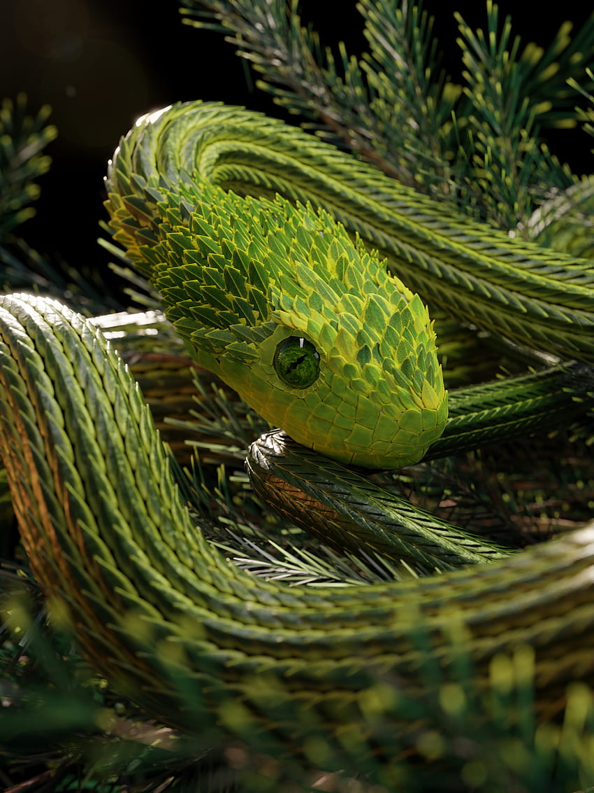 3D, Reptile, Snake, Scales, Scale HD phone wallpaper