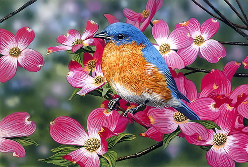 ブルーバード、甘い、鳥、芸術、開花、かわいい、美しい、春、木、ピンク、葉、絵画、かなり、bloomind、花、美しい 高画質の壁紙