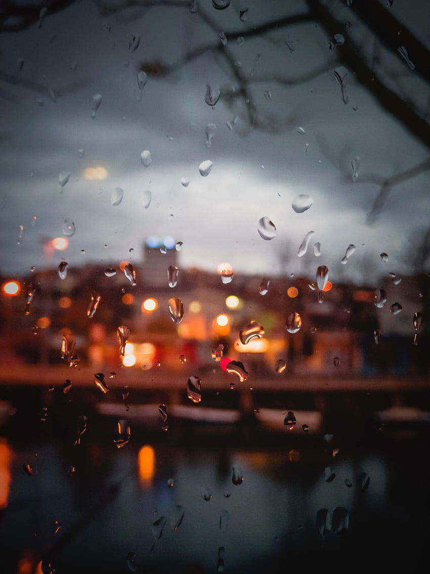 雨, しずく, マクロ, ぼかし, 滑らかな, 湿気, ガラス, ウィンドウ HD電話の壁紙