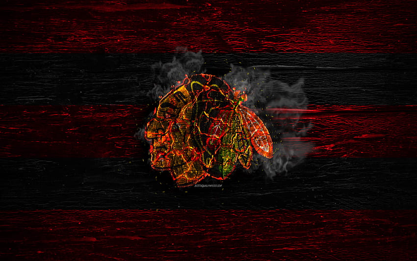 Chicago Blackhawks, fire logo, NHL, red HD wallpaper