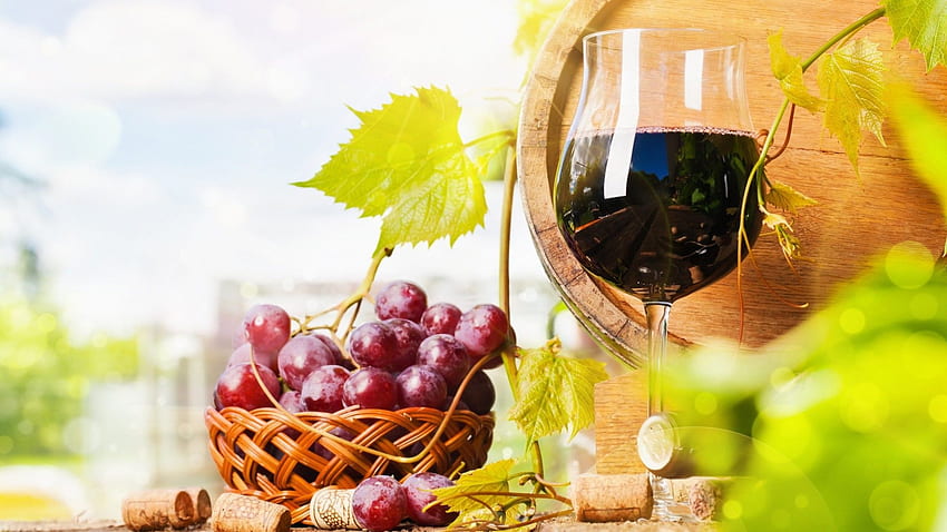 Harvest fruits, abstract, graphy, grapes, fruits, harvest, wine HD wallpaper