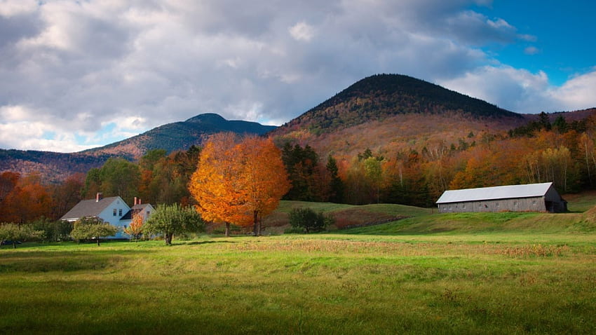 New Hampshire-Farm am Mt. wonalancet, bäume, felder, herbst, bauernhof, berge HD-Hintergrundbild