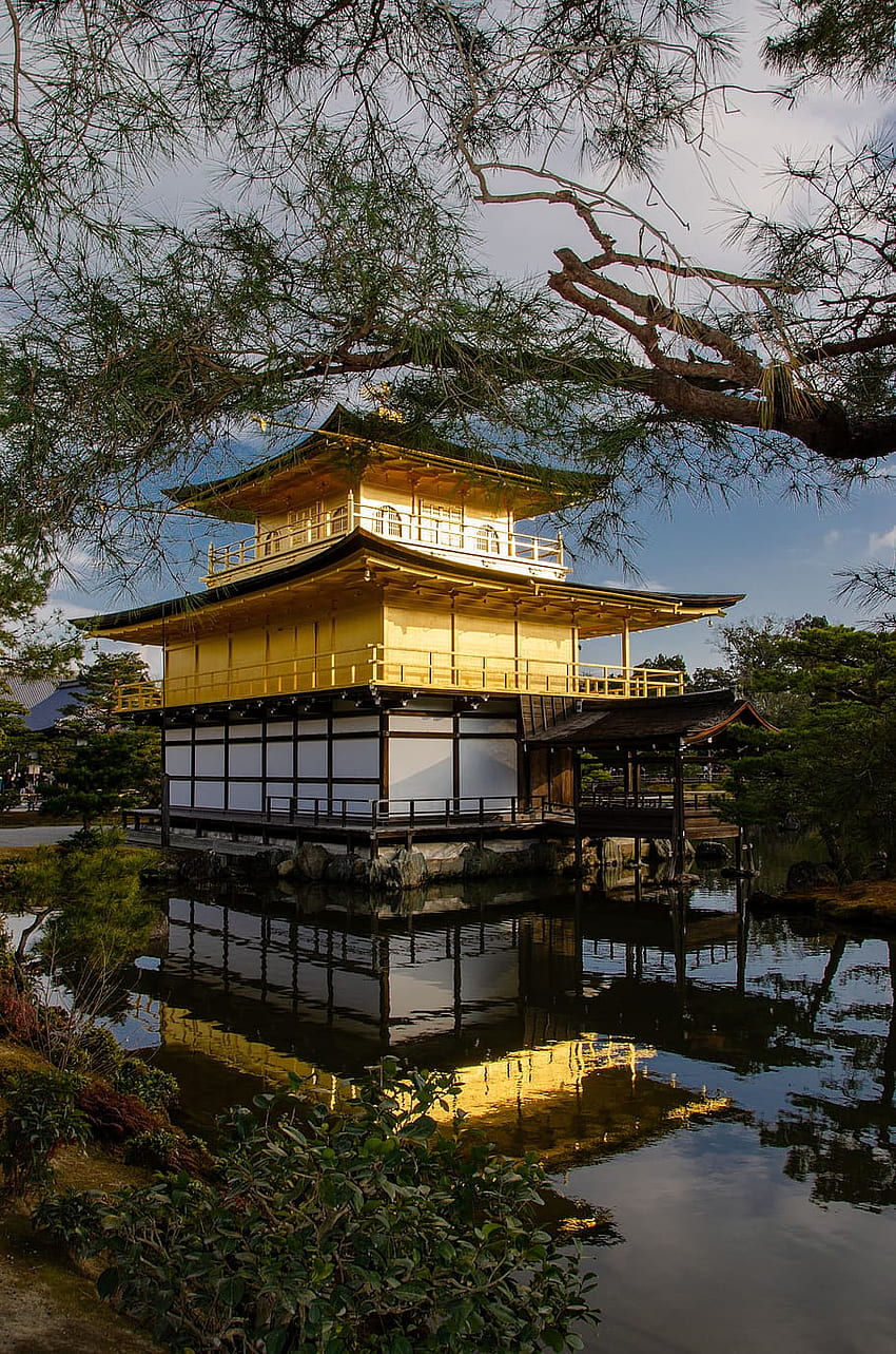 : Kinkaku Ji, The Golden Pavilion, Rokuon Ji, Zen, Kyoto, Japan, Japanese Kyoto HD phone wallpaper