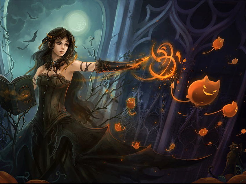 Magic Halloween, Beautiful Witch Cat HD wallpaper