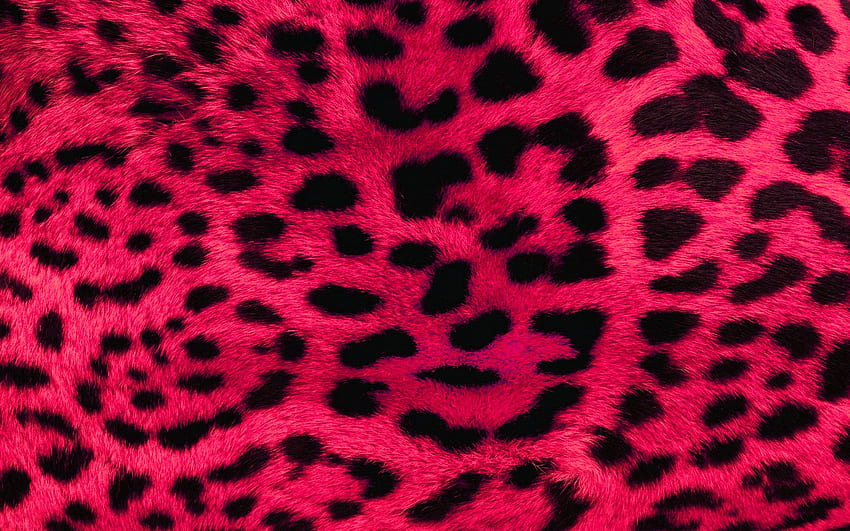 Wallsave manager. . Leopard print , Pink leopard , Leopard, Neon Animal Print HD wallpaper