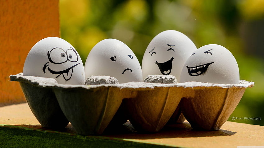 Funny Eggs Ultra Background for U TV : Multi Display, Dual Monitor : Tablet : Smartphone, 3840 X 2160 Funny HD wallpaper