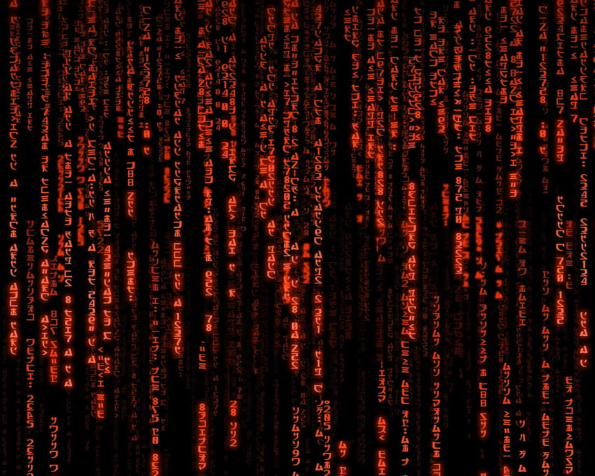 matrix Alta qualidade, alta definição, código vermelho papel de parede HD