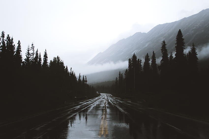 Nature, Mountains, Canada, Road, Markup, Fog, Wet, Humid, Albert, Alberta HD wallpaper