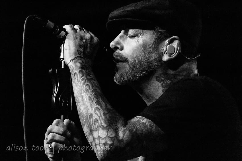 ALISON TOON. GRAPHER. Mike Ness, vocals and guitar, Social Distortion HD wallpaper