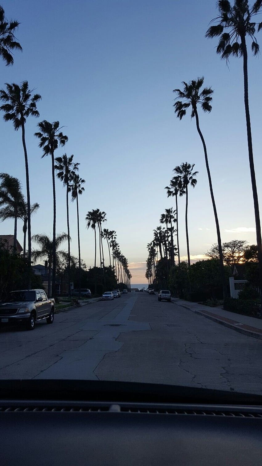 1290x2796px, 2K Free download | Tree Lined Street In San Diego, CA ...