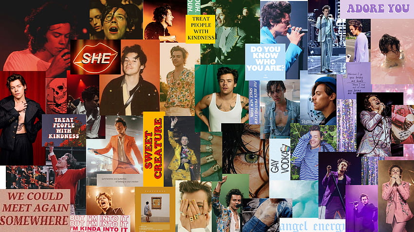 harry stan collage. Harry styles , Harry styles , Harry styles baby HD wallpaper