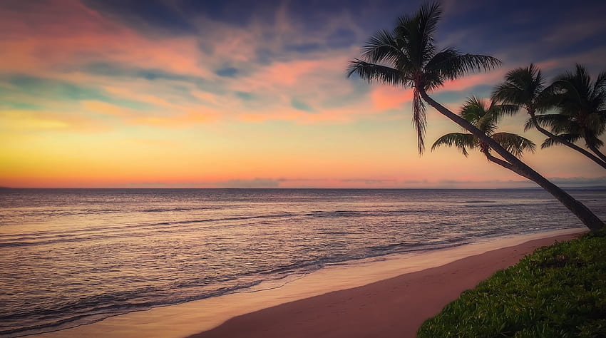 Beach, sunset, ocean, coast HD wallpaper