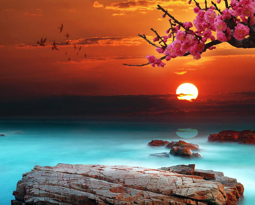 Beautiful Sunset, landscape, clouds, trees, nature, flowers, sun, sunset HD wallpaper