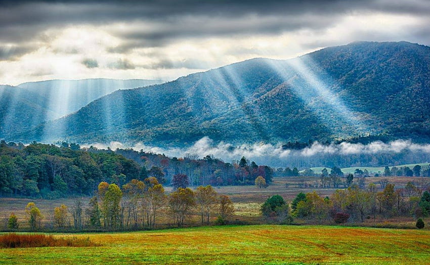 Smoky Mountains, autunno, raggi solari, montagna fumosa, foresta Sfondo HD