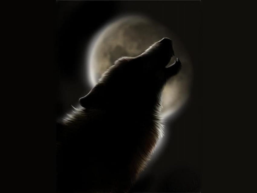 HOWLING WOLF、夜、ハウリング、オオカミ、月 高画質の壁紙