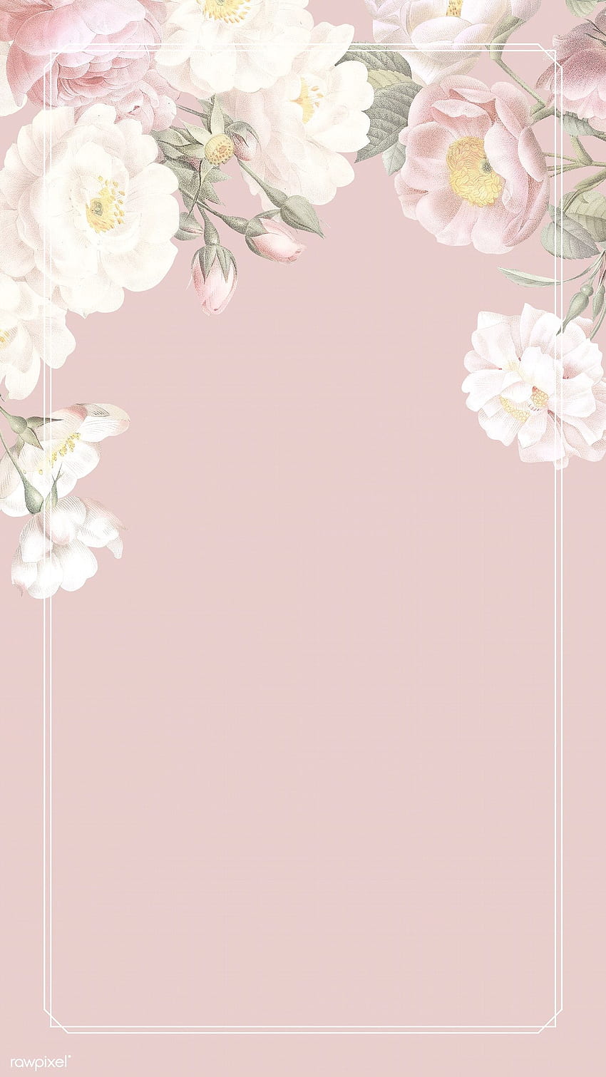 ilustrasi premium dari ilustrasi desain bingkai bunga yang elegan. Bunga , Latar belakang bunga , Bunga wallpaper ponsel HD