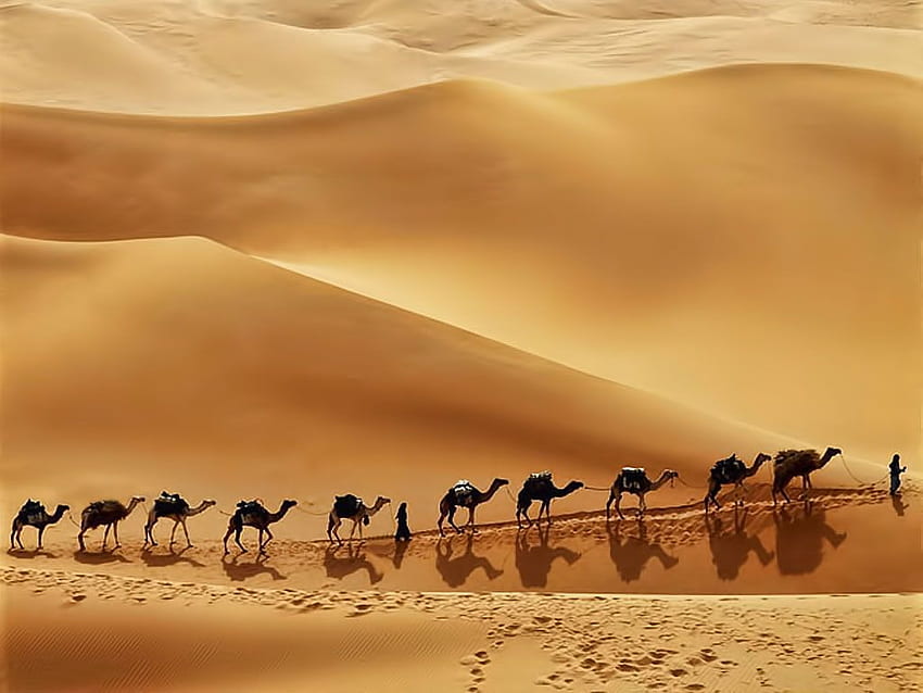 사우디아라비아 룹알칼리 사막. 여행기. 장소, 사막 HD 월페이퍼