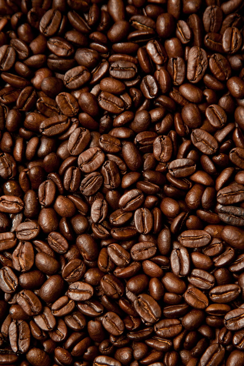 Best Coffee Beans Hd Phone Wallpaper Pxfuel