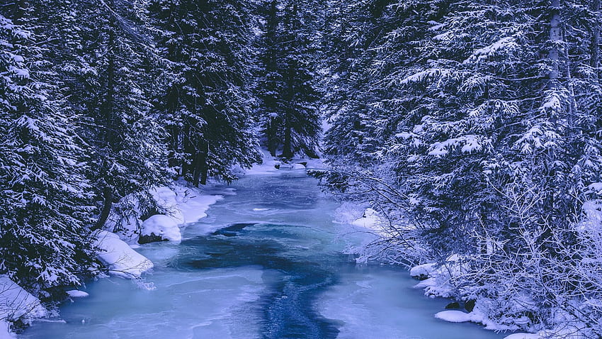 ป่า ฤดูหนาว แม่น้ำ หิมะ Ice Snow Winter วอลล์เปเปอร์ HD