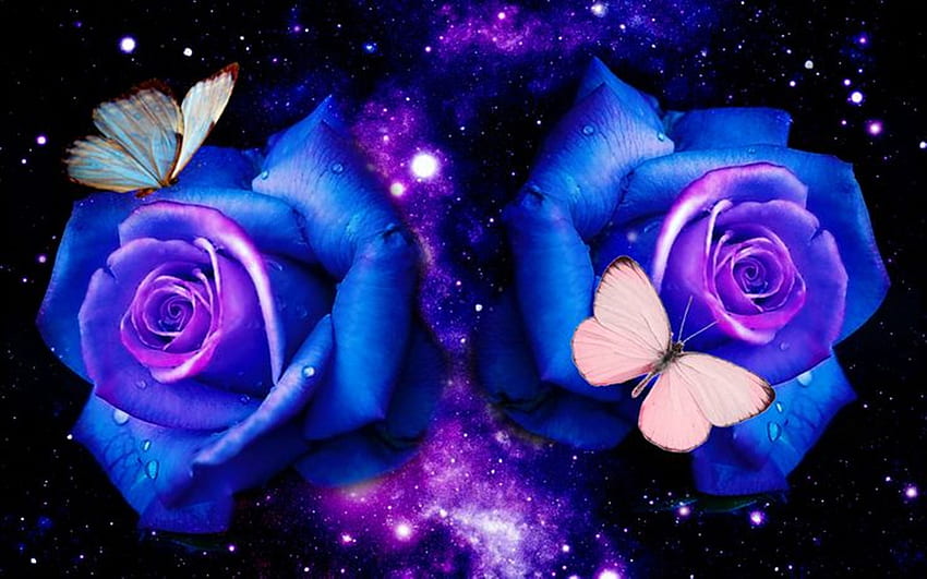 Roses And Butterfly, Blue and Purple Flowers and Butterfly HD wallpaper