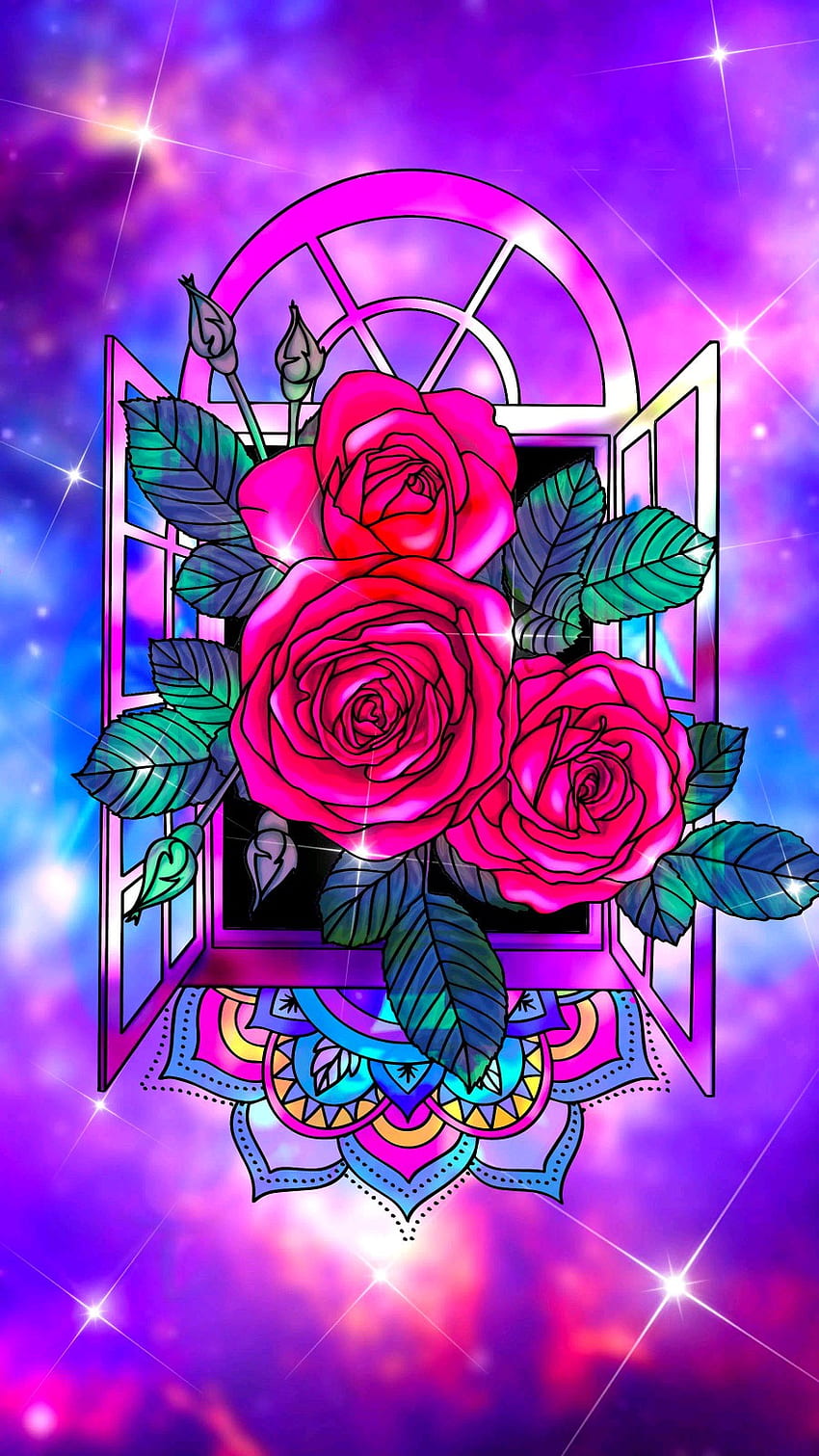 Rosen, rot, rosa HD-Handy-Hintergrundbild