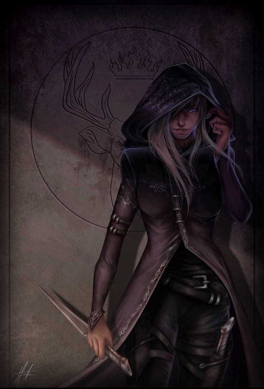 The assassin The champion The queen. Throne of glass fanart HD phone wallpaper