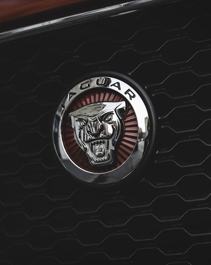 ジャガーのロゴ、ジャガーの車のロゴ HD電話の壁紙
