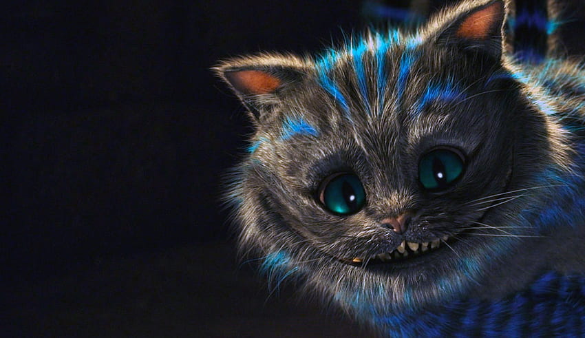 Cheshire Cat Tumblr - котки за лаптоп, Trippy Cat HD тапет