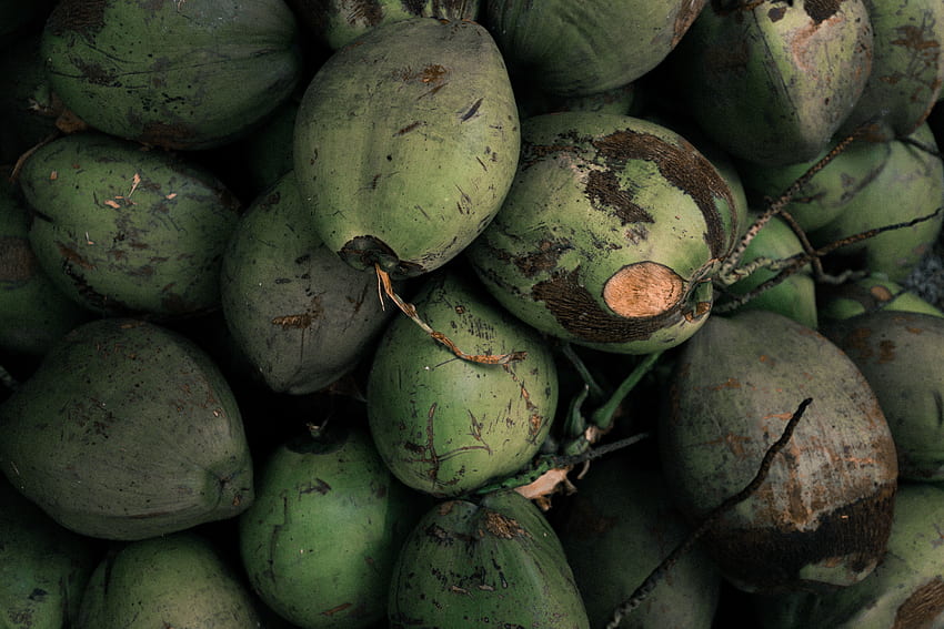 코코넛, 녹색, 근접 촬영 HD 월페이퍼