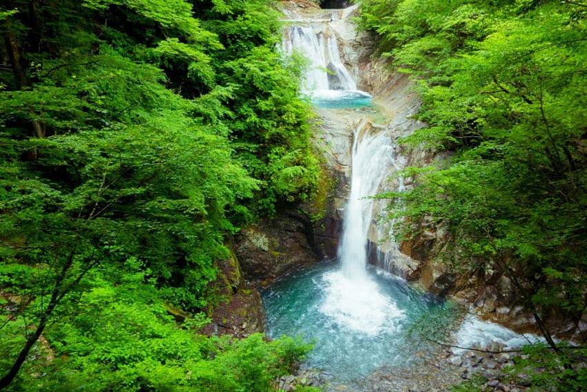Wasserfälle in den Wald, Bach, Teiche, Grün, Bäume, Wasserfälle, schön, Wald HD-Hintergrundbild